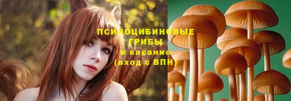ГАЛЛЮЦИНОГЕННЫЕ ГРИБЫ Абдулино