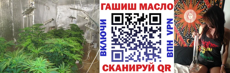 где продают   Александровск  Дистиллят ТГК гашишное масло 