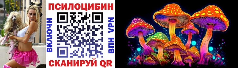 Псилоцибиновые грибы Magic Shrooms Александровск
